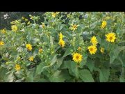 Ashbridges Bay Park – Toronto