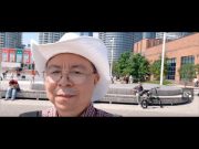 Queens Quay & Fun Philippines Festival Section 1