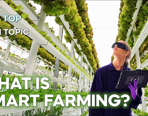 3 Innovative Smart Farming (Vertical Farming) | Future of Farming ▶ 1