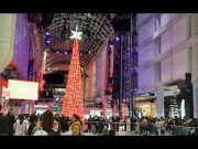 Eaton Center Christmas Tree Lighting Up