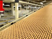 Modern Food Processing Technology with Cool Automatic Machines That Are At Another Level Part 7
