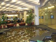 Toronto Reference Library