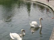 Woodbine Park