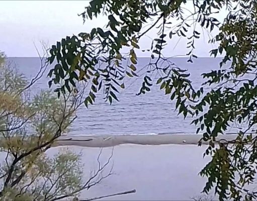 Waterfront Trial, Rouge Beach and Rouge National Urban Park – Toronto