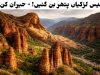 40 Ladkiyan Pathar Ban Gayi? | Childukhtaron Tajikistan Ka Hidden Red Rock Desert