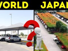 Parking Lot Revolution (2) – Japan installs floating Gardens in Parking Lots | Only in Japan